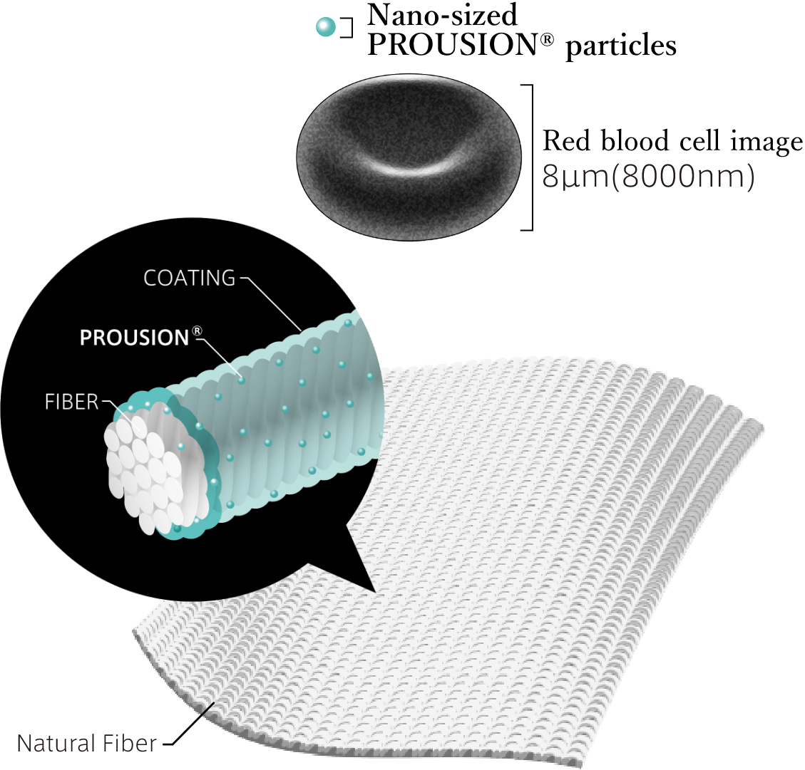 Nano-sized PROUSION® particles and natural fiber structure