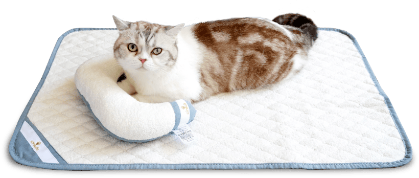 M size usage image - Cat