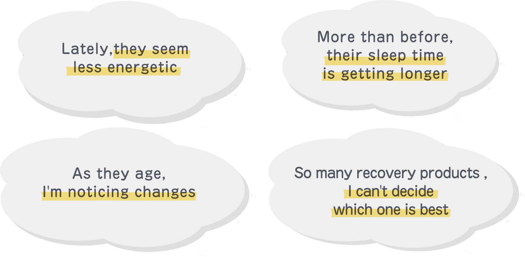 Recently, my pet seems less energetic. They've been sleeping more than before. As they age, I'm noticing changes. There are so many recovery products — I don't know which one to choose.