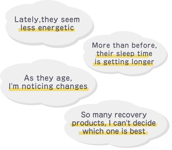 Recently, my pet seems less energetic. They've been sleeping more than before. As they age, I'm noticing changes. There are so many recovery products — I don't know which one to choose.