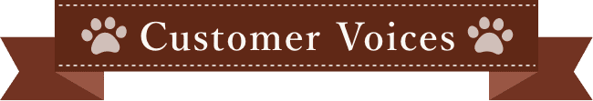 Customer Voices