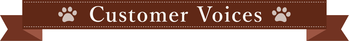 Customer Voices
